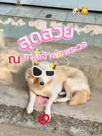 ขอพร 🙏 ศาลเจ้าพ่อพะวอ 🎖️แม่สอด