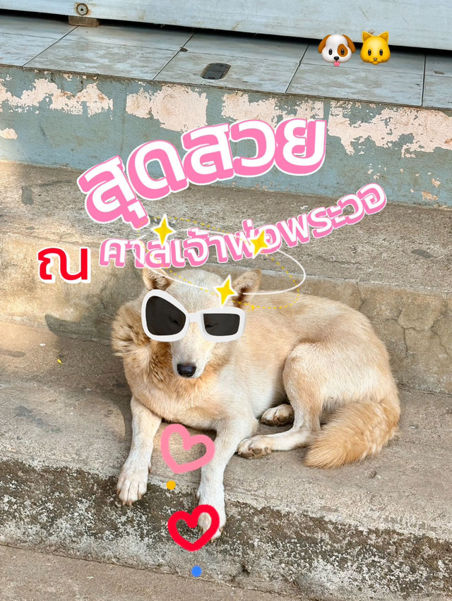 ขอพร 🙏 ศาลเจ้าพ่อพะวอ 🎖️แม่สอด