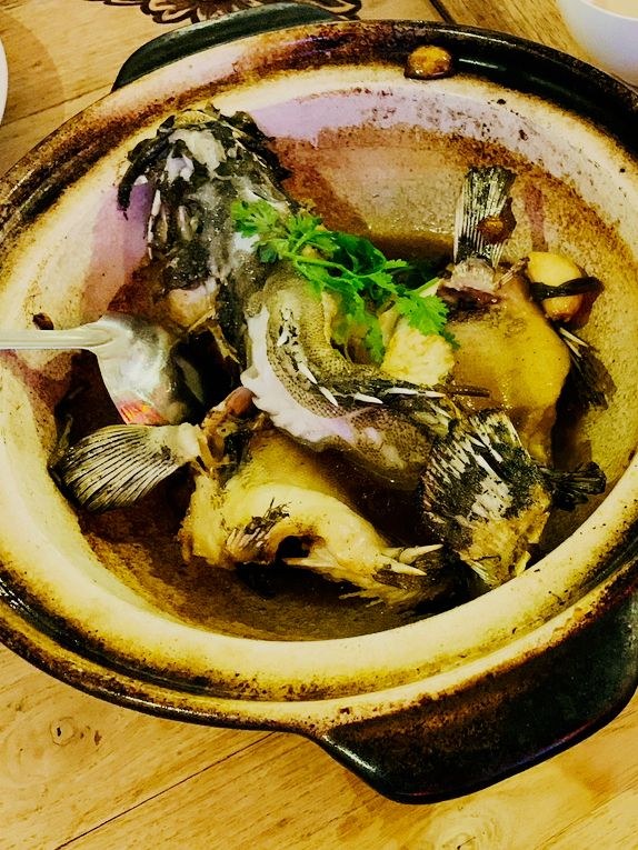 Seafood Feast at Putumayo Restaurant! 🦞