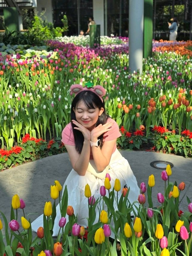 🌸 Miracle of Natural – สวนดอกไม้เมืองหนาวระยอง❄️ 
