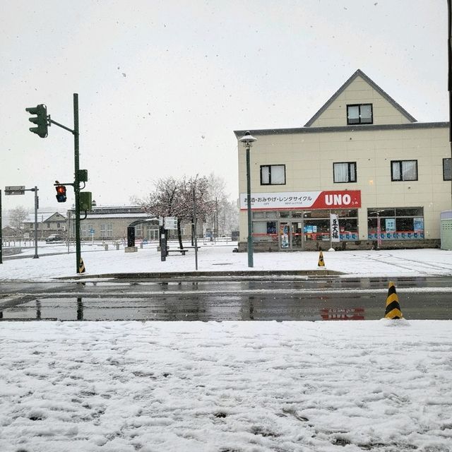 겨울여행에 빠질 수 없는 삿포로 비에이☃️