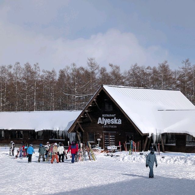 🇯🇵岩手「雫石王子飯店」 東北粉雪天堂，性價比超高的滑雪度假體驗