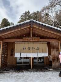 冰雪世界裡的北海道神宮❤️