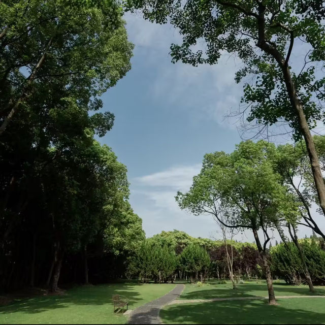 🕊️🌳野崎公園～鴿群樂章 🕊️🌳