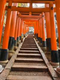 Fushimi Inari "The Thousand Gates"