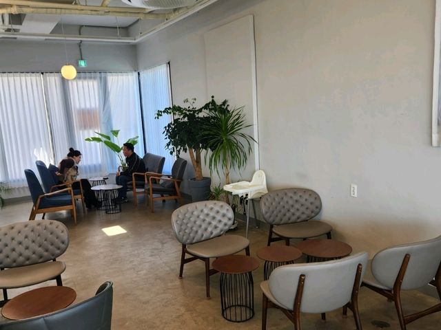 제주 서귀포 법환포구 오션뷰 감성 카페 - 제주 소담 디저트 꽃 카페 추천