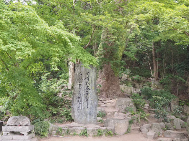 【福岡県】福岡の学業の神はここ📚