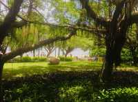 Sun, Sand, Serenity: Zhuhai Beach