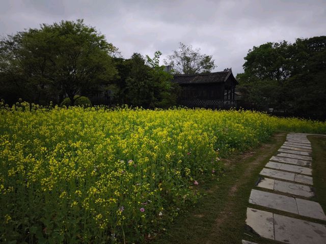 花海
