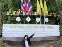 เส้นทางศึกษาธรรมชาติกิ่วแม่ปาน