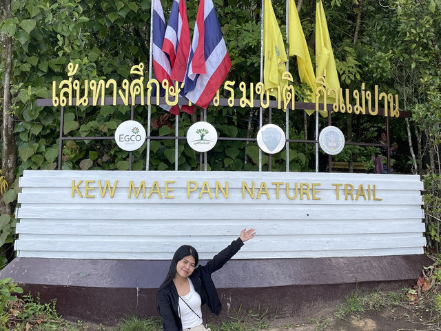 เส้นทางศึกษาธรรมชาติกิ่วแม่ปาน