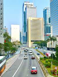 🇭🇰🌇홍콩 무료전망대 추천 -  IFC 몰 루프탑 가든🏢🏬