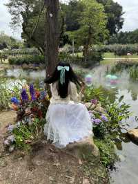 🫧🪻💐莫奈花園🌷🌺 🫧油畫一樣咁靚🖼️