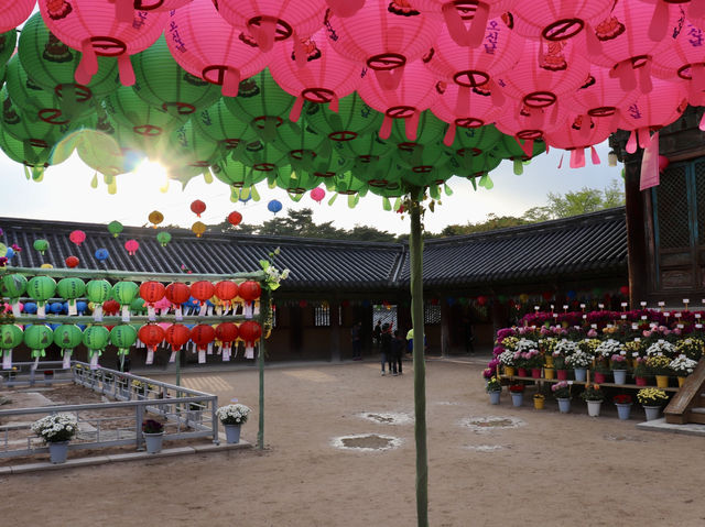 Spring at Bulguksa: Beyond Cherry Blossoms 🌸