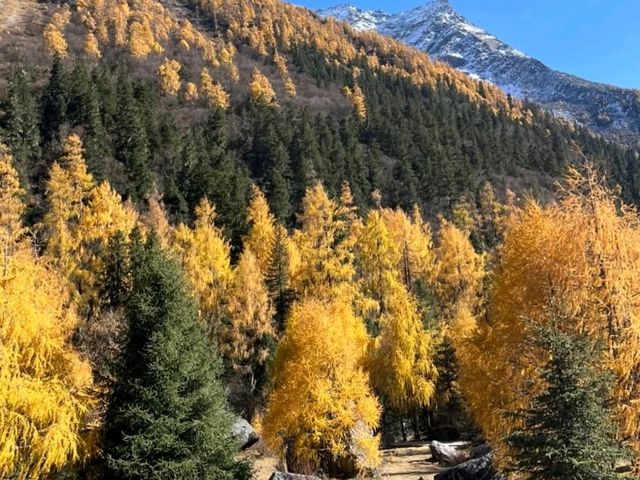四川阿壩州-四姑娘山，東方的阿爾卑斯山