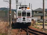 นั่งรถไฟน้องแมว เที่ยวเมือง Wakayama Kansai 