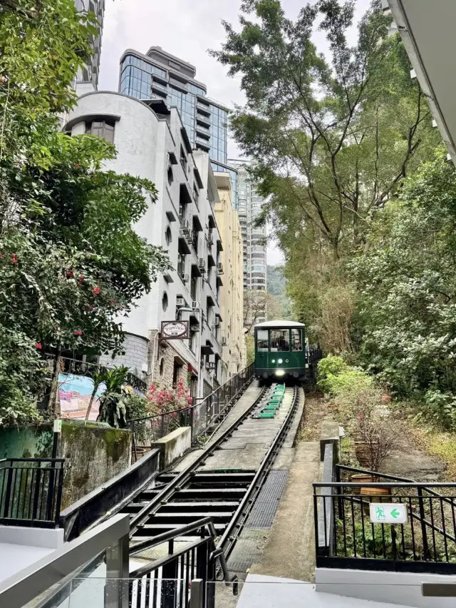 A Scenic Ascent on the Victoria Peak Cable Car