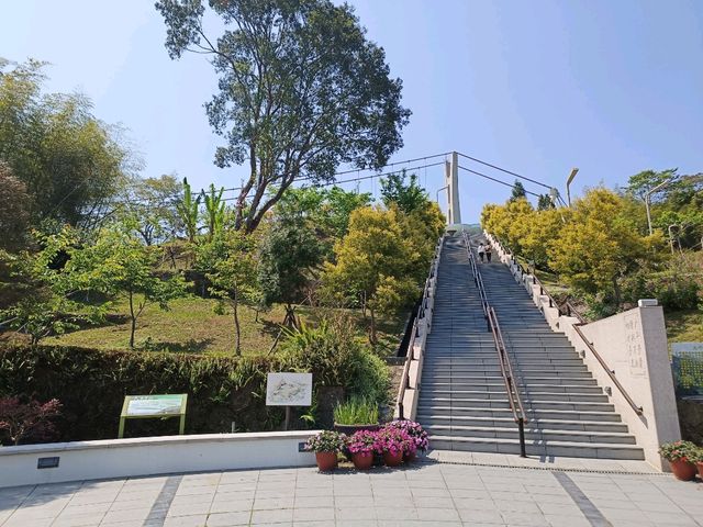 嘉義縣梅山鄉太平村的太平雲梯是台灣最高的景觀吊橋