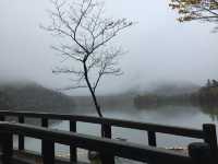 ชิลกลางสายหมอก พักใจกลางธรรมชาติที่ Yuno Lake