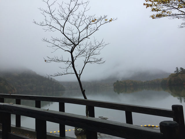 ชิลกลางสายหมอก พักใจกลางธรรมชาติที่ Yuno Lake
