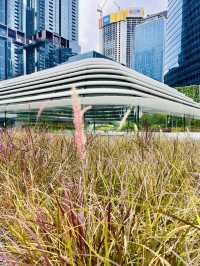 Rooftop Garden TRX: Spring Bloom Haven
