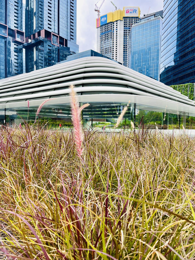 Rooftop Garden TRX: Spring Bloom Haven
