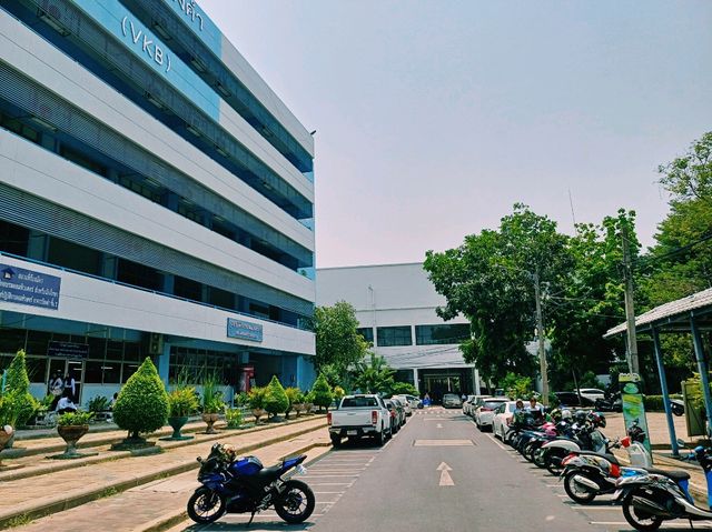 泰國曼谷湄南河畔大學校園百年歷史體育場一日遊行程，適合親子遊，適合打卡拍照📸