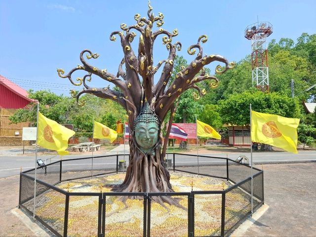 ชมโบสถ์โบราณ วัดโคกตลาด โคราช