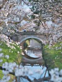 【埼玉】行かなきゃ損‼️駅近&穴場でエモさ溢れる桜撮影🌸📸※周辺観光情報付き