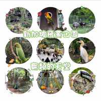 新加坡飛禽公園～鳥類的天堂