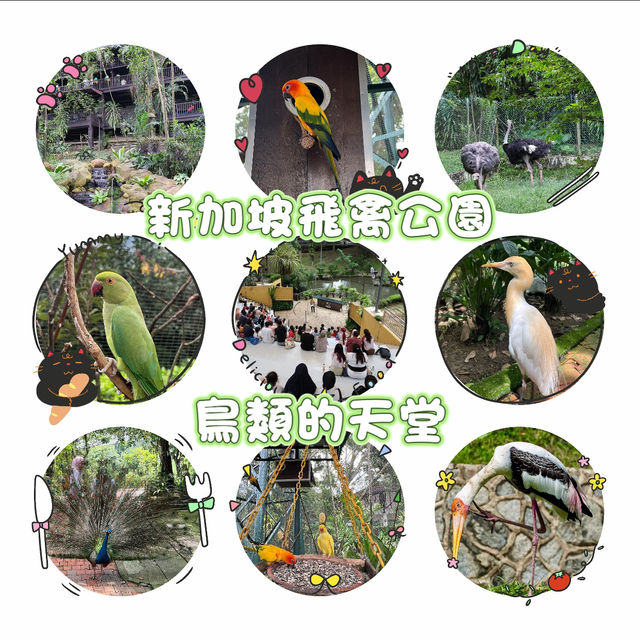 新加坡飛禽公園～鳥類的天堂