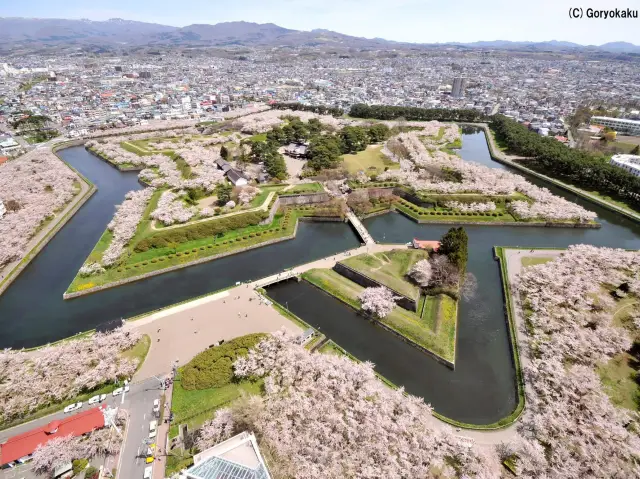 Chasing Sakura at Hakodate