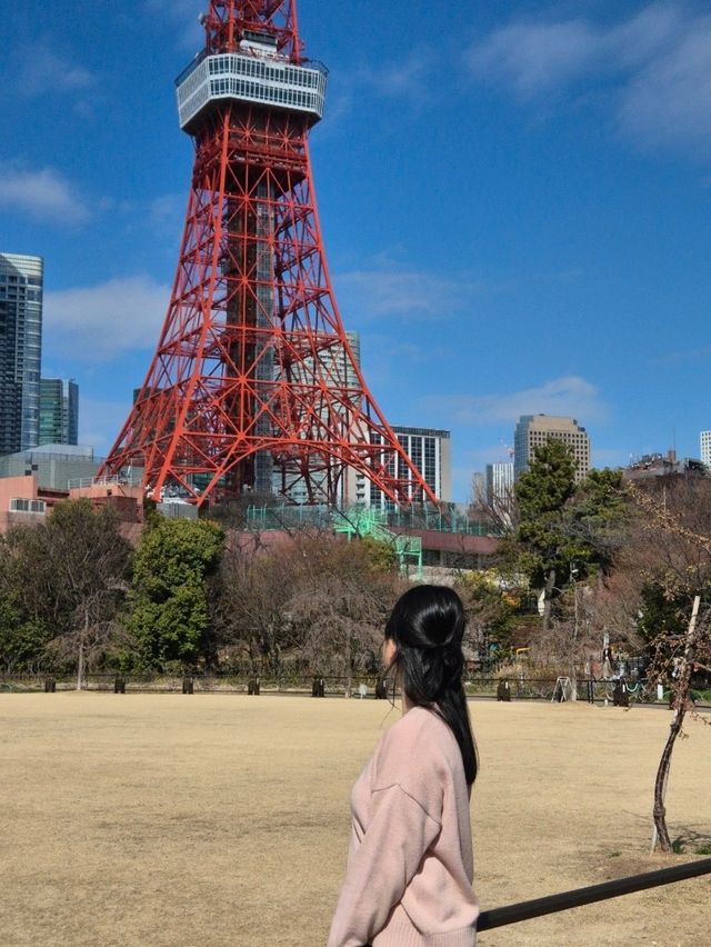 도쿄 내가 접수하러 간다😘