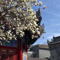 廣仁寺三月花季，錯過再等一年！
