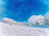 【極上パウダー】コスパ最強！カムイスキーリンクスで大満足❄️