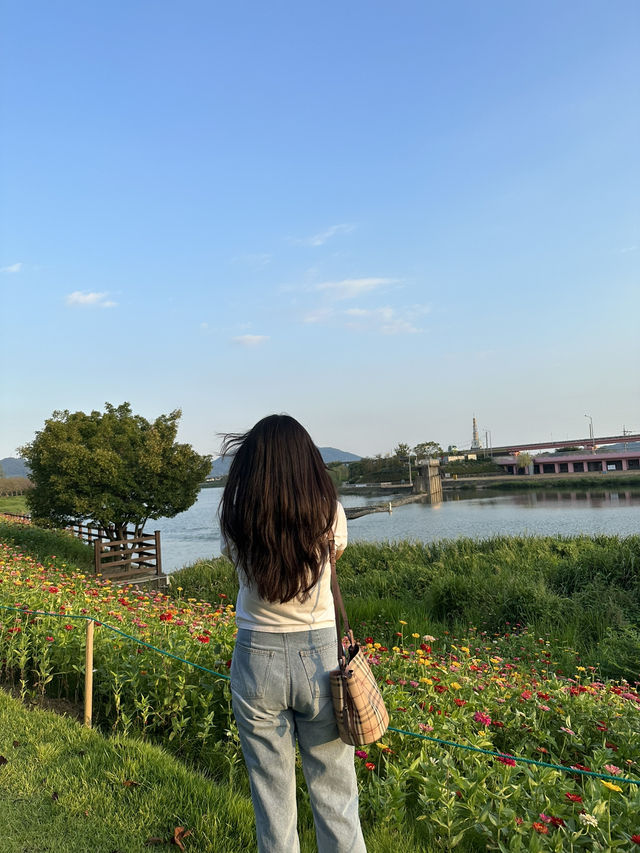 순천여행시 꼭 가야할 명소