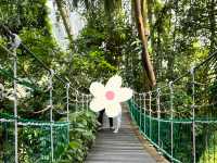 忠清南道　ソチョン郡にある国立生態園✨☘️