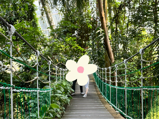 忠清南道　ソチョン郡にある国立生態園✨☘️