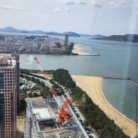 福岡塔（Fukuoka Tower）