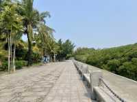 🧎沉浸在綠意與海濱風光中🌟深圳灣公園🌳