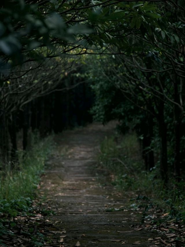 Longyi Botanical Garden