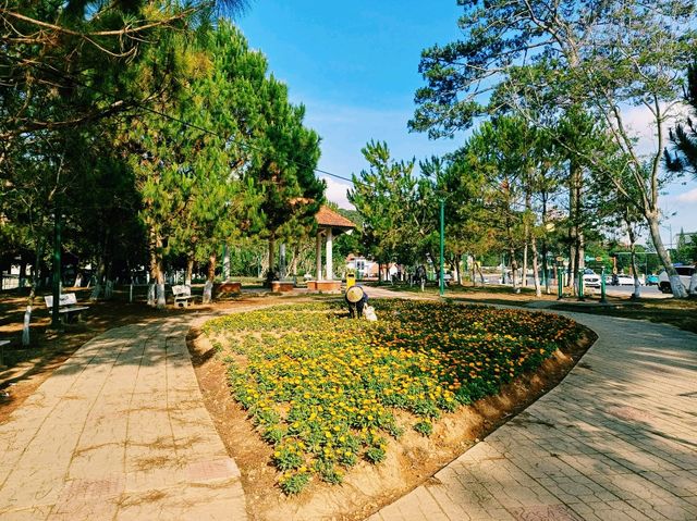 越南大叻著名花園公園景點：Flower garden，適合打卡拍照📸