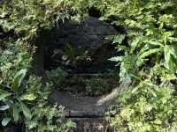 Wandering Through Stillness: A Solo Day at the Chinese and Japanese Gardens in Singapore
