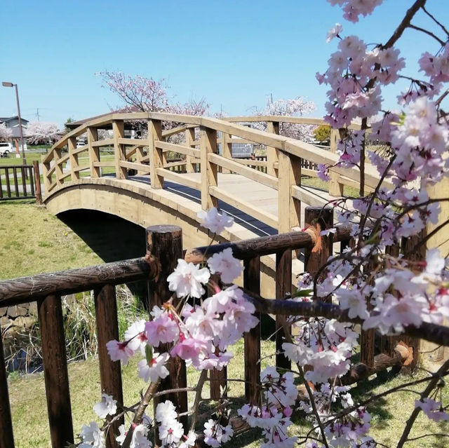 【中津】🇯🇵 大貞公園