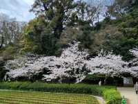 日本九州長崎大村公園