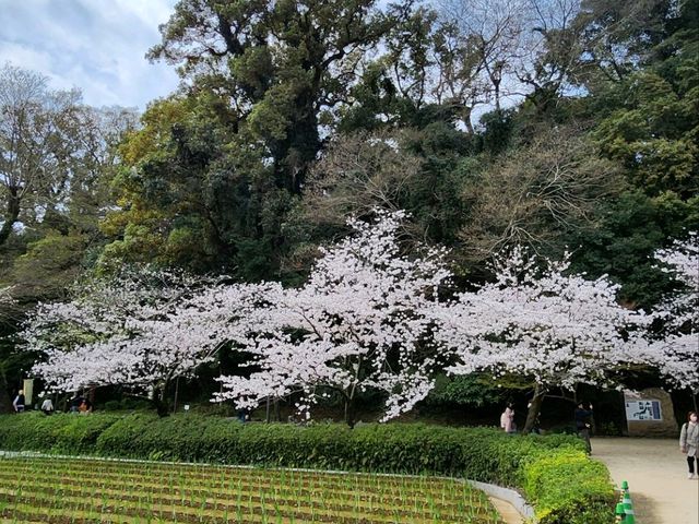 日本九州長崎大村公園