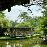 倫披尼公園·曼谷城市中的綠洲