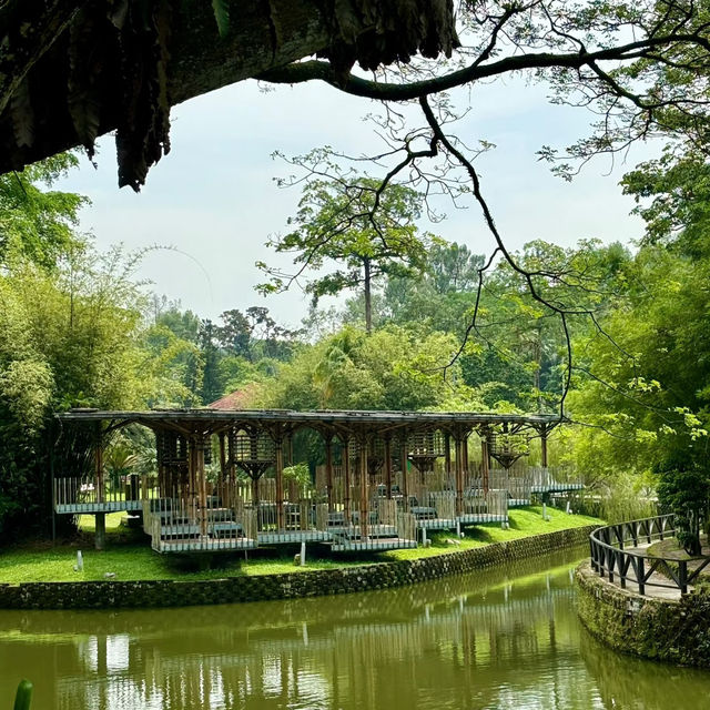 倫披尼公園·曼谷城市中的綠洲