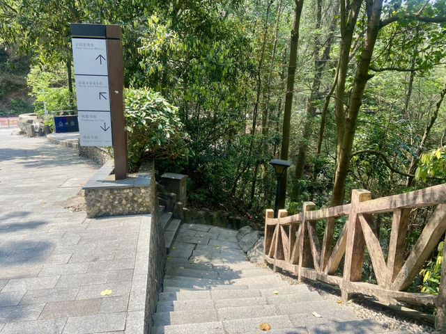 感受大自然的魅力⛰️✨鳳凰山森林公園🧗 