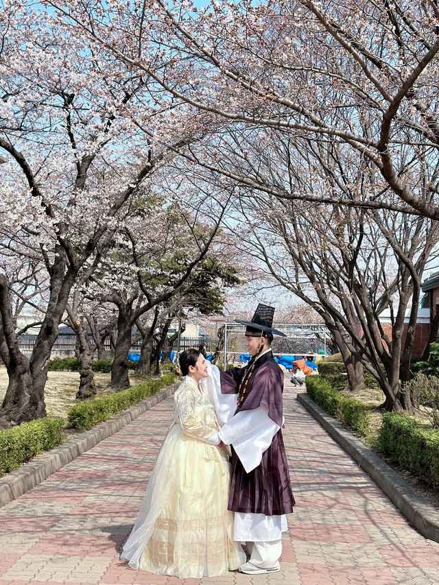 How to spend 5 days in Seoul